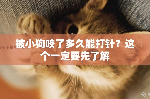 被小狗咬了多久能打針？這個一定要先了解