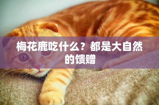 梅花鹿吃什么？都是大自然的饋贈