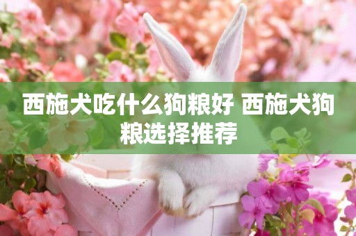 西施犬吃什么狗糧好 西施犬狗糧選擇推薦