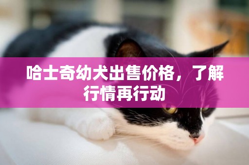 哈士奇幼犬出售價格，了解行情再行動