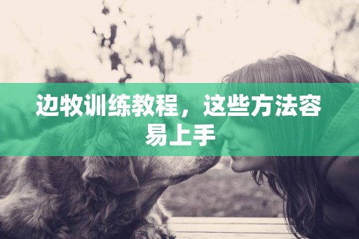 邊牧訓練教程，這些方法容易上手