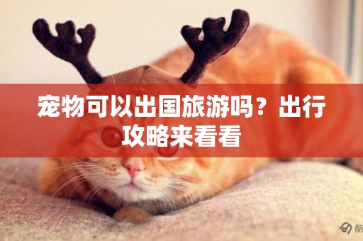寵物可以出國旅游嗎？出行攻略來看看