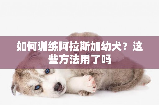 如何訓練阿拉斯加幼犬？這些方法用了嗎