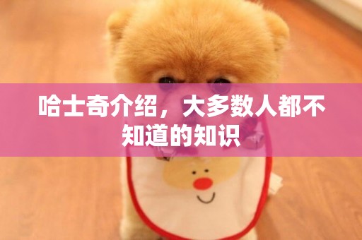 哈士奇介紹，大多數人都不知道的知識