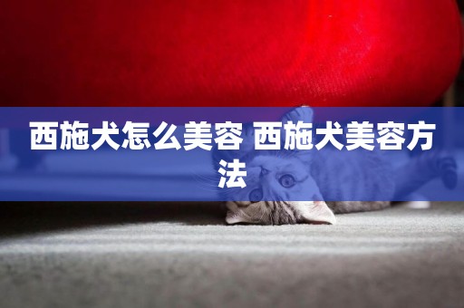 西施犬怎么美容 西施犬美容方法