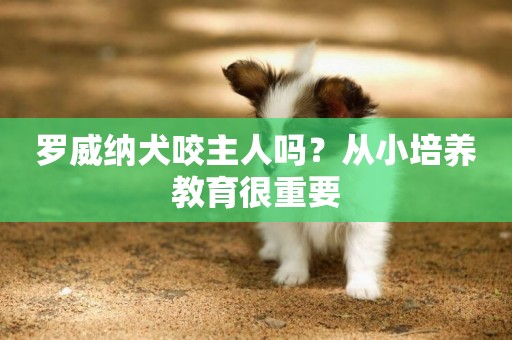 羅威納犬咬主人嗎？從小培養教育很重要