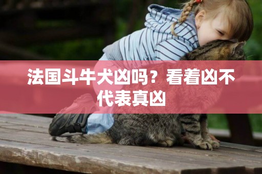 法國斗牛犬兇嗎？看著兇不代表真兇