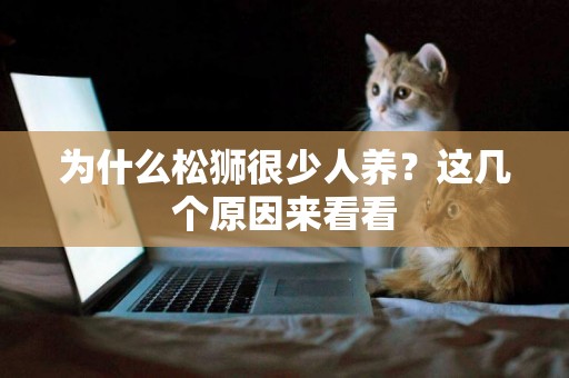 為什么松獅很少人養？這幾個原因來看看