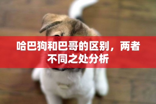 哈巴狗和巴哥的區別，兩者不同之處分析