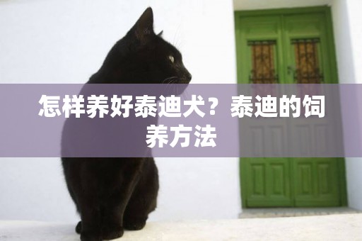 怎樣養好泰迪犬？泰迪的飼養方法
