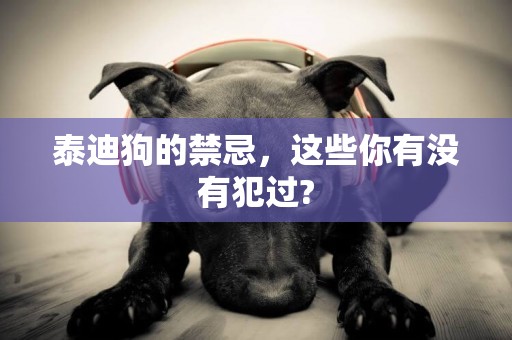 泰迪狗的禁忌，這些你有沒有犯過?