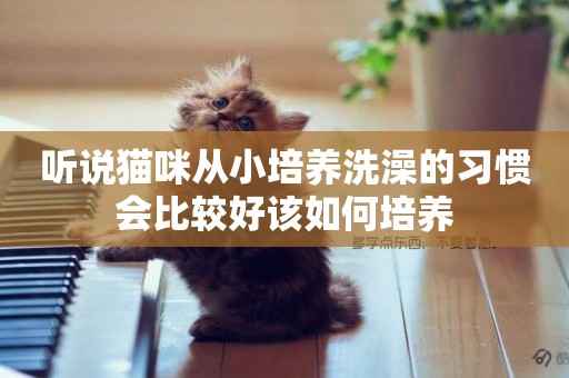 聽說貓咪從小培養洗澡的習慣會比較好該如何培養