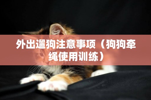 外出遛狗注意事項（狗狗牽繩使用訓練）