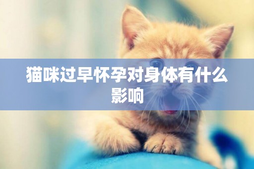 貓咪過早懷孕對身體有什么影響
