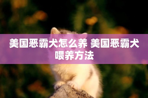 美國惡霸犬怎么養 美國惡霸犬喂養方法