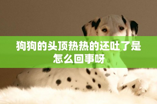 狗狗的頭頂熱熱的還吐了是怎么回事呀