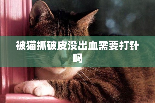 被貓抓破皮沒出血需要打針嗎