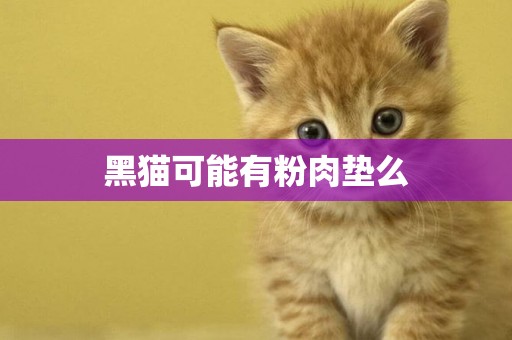 黑貓可能有粉肉墊么