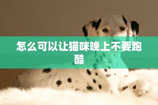 怎么可以讓貓咪晚上不要跑酷