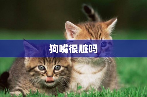 狗嘴很臟嗎