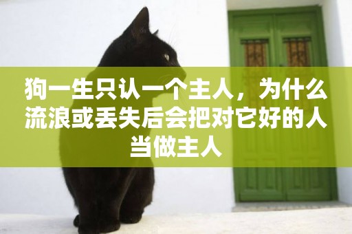 狗一生只認一個主人，為什么流浪或丟失后會把對它好的人當做主人