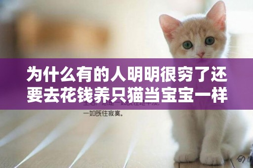 為什么有的人明明很窮了還要去花錢養只貓當寶寶一樣寵著