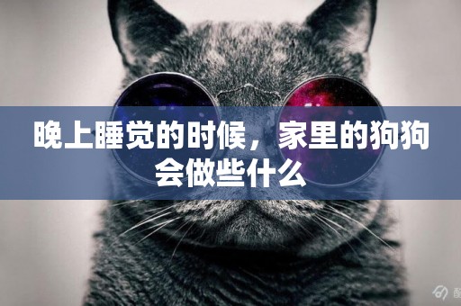 晚上睡覺的時候，家里的狗狗會做些什么