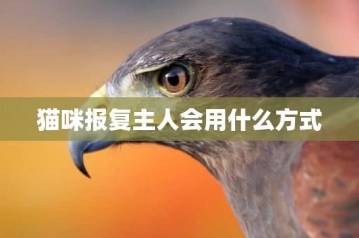貓咪報復主人會用什么方式