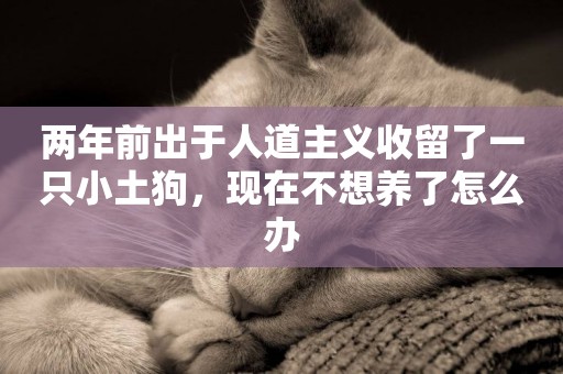 兩年前出于人道主義收留了一只小土狗，現在不想養了怎么辦