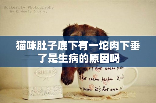 貓咪肚子底下有一坨肉下垂了是生病的原因嗎