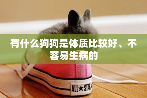 有什么狗狗是體質比較好、不容易生病的
