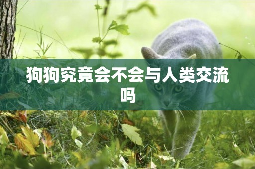 狗狗究竟會不會與人類交流嗎