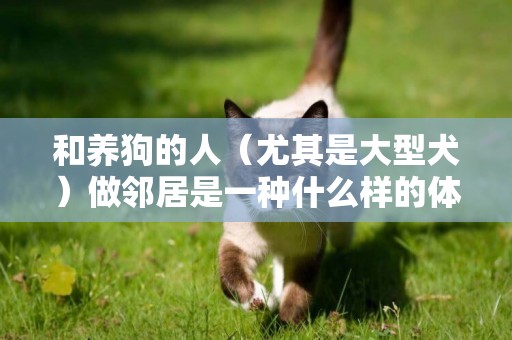 和養狗的人（尤其是大型犬）做鄰居是一種什么樣的體驗