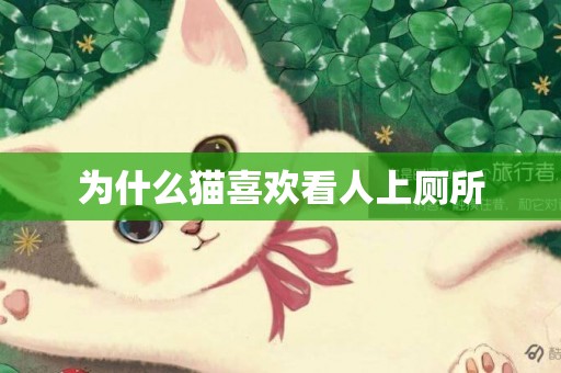 為什么貓喜歡看人上廁所