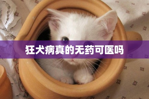 狂犬病真的無藥可醫嗎