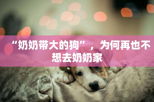“奶奶帶大的狗”，為何再也不想去奶奶家