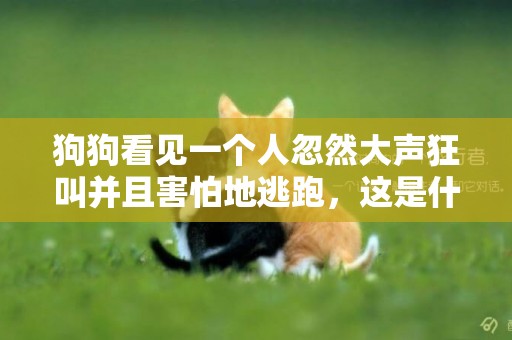 狗狗看見一個人忽然大聲狂叫并且害怕地逃跑，這是什么情況