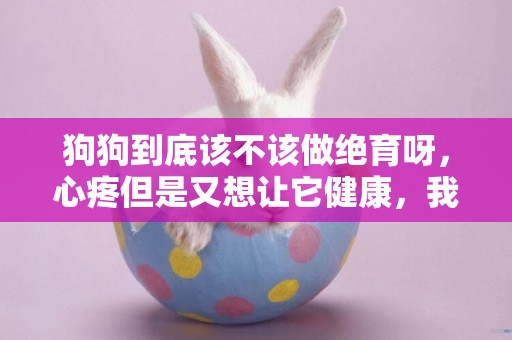 狗狗到底該不該做絕育呀，心疼但是又想讓它健康，我好糾結
