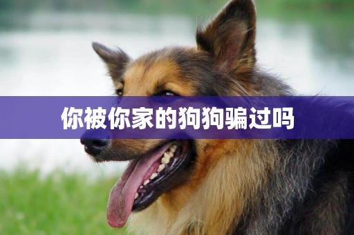 你被你家的狗狗騙過嗎