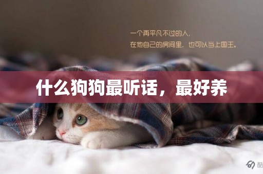 什么狗狗最聽話，最好養