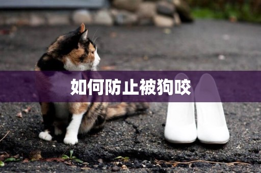 如何防止被狗咬