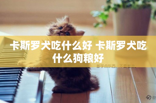 卡斯羅犬吃什么好 卡斯羅犬吃什么狗糧好