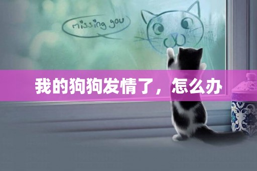 我的狗狗發情了，怎么辦