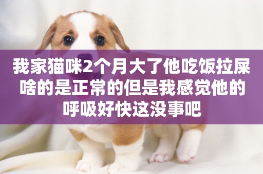我家貓咪2個月大了他吃飯拉屎啥的是正常的但是我感覺他的呼吸好快這沒事吧