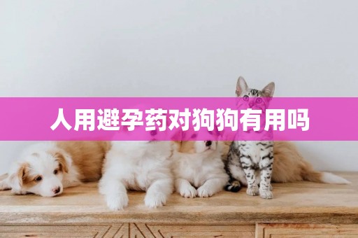 人用避孕藥對狗狗有用嗎