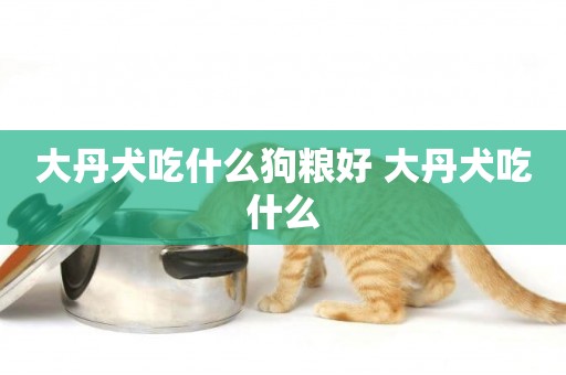 大丹犬吃什么狗糧好 大丹犬吃什么