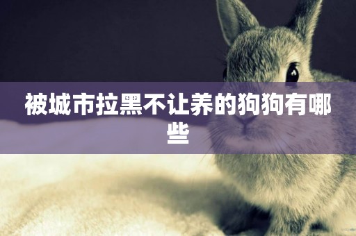 被城市拉黑不讓養的狗狗有哪些