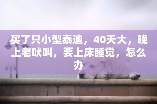 買了只小型泰迪，40天大，晚上老吠叫，要上床睡覺，怎么辦
