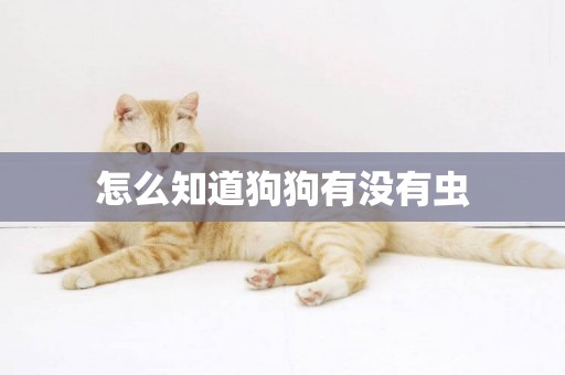怎么知道狗狗有沒有蟲