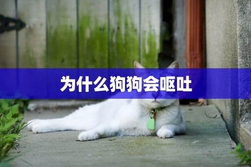 為什么狗狗會嘔吐